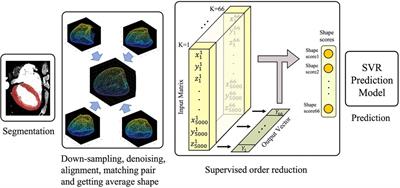 Predicting one-year left ventricular mass index regression following transcatheter aortic valve replacement in patients with severe aortic stenosis: A new era is coming